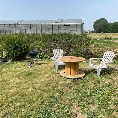 Le Ch'Ti 4 Saisons Maison De Vacances Avec Parking Et Jardin Saint-Omer  Kültér fotó